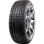 Winter RX821
